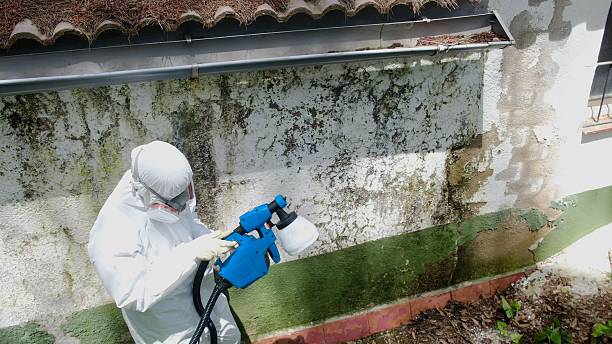 Trusted Mold Inspection service in Wingate, NC - Cheap Mold Removal